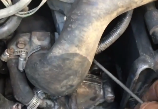 Will Black Pepper Stop a Water Pump Leak?